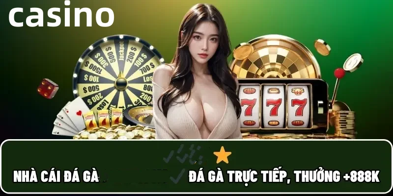 mostbet